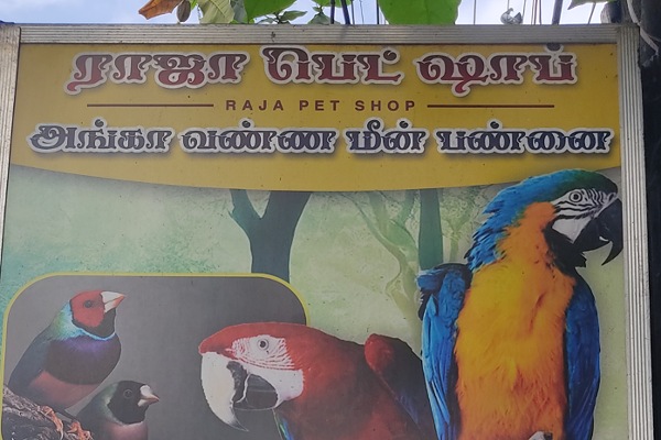 Raja Pet Shop