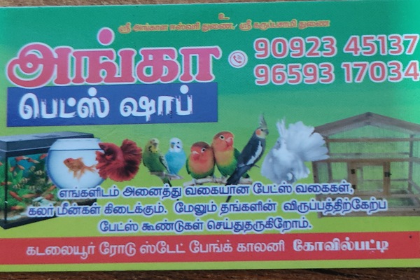 ANGA PET SHOP